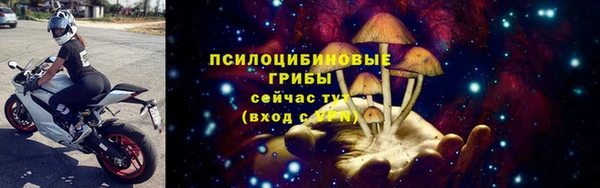 ПСИЛОЦИБИНОВЫЕ ГРИБЫ Арсеньев