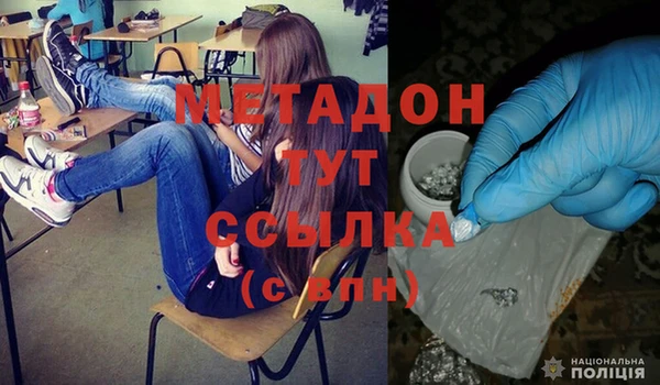 ПСИЛОЦИБИНОВЫЕ ГРИБЫ Арсеньев