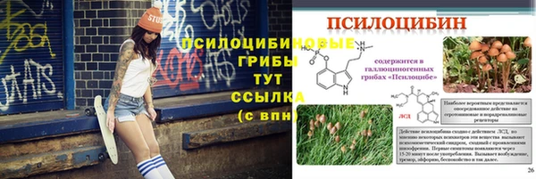 ПСИЛОЦИБИНОВЫЕ ГРИБЫ Арсеньев