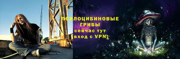 ПСИЛОЦИБИНОВЫЕ ГРИБЫ Арсеньев