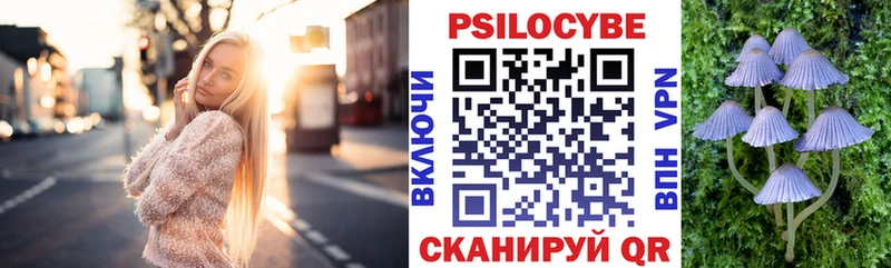 Галлюциногенные грибы Psilocybe купить наркотик нарко площадка клад Тайга